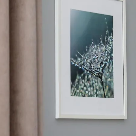 Sunset By Renters グジボボ